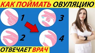 видео: ЧТО ТАКОЕ ОВУЛЯЦИЯ, КАК ОПРЕДЕЛИТЬ (ТЕСТ)! НА КАКОЙ ДЕНЬ ЦИКЛА ПРОИСХОДИТ, РАССЧИТАТЬ СКОЛЬКО ДЛИТСЯ картинка: ЧТО ТАКОЕ ОВУЛЯЦИЯ, КАК ОПРЕДЕЛИТЬ (ТЕСТ)! НА КАКОЙ ДЕНЬ ЦИКЛА ПРОИСХОДИТ, РАССЧИТАТЬ СКОЛЬКО ДЛИТСЯ