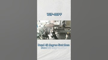 Automatic pin insertion machine (press foot) WIP-08PF