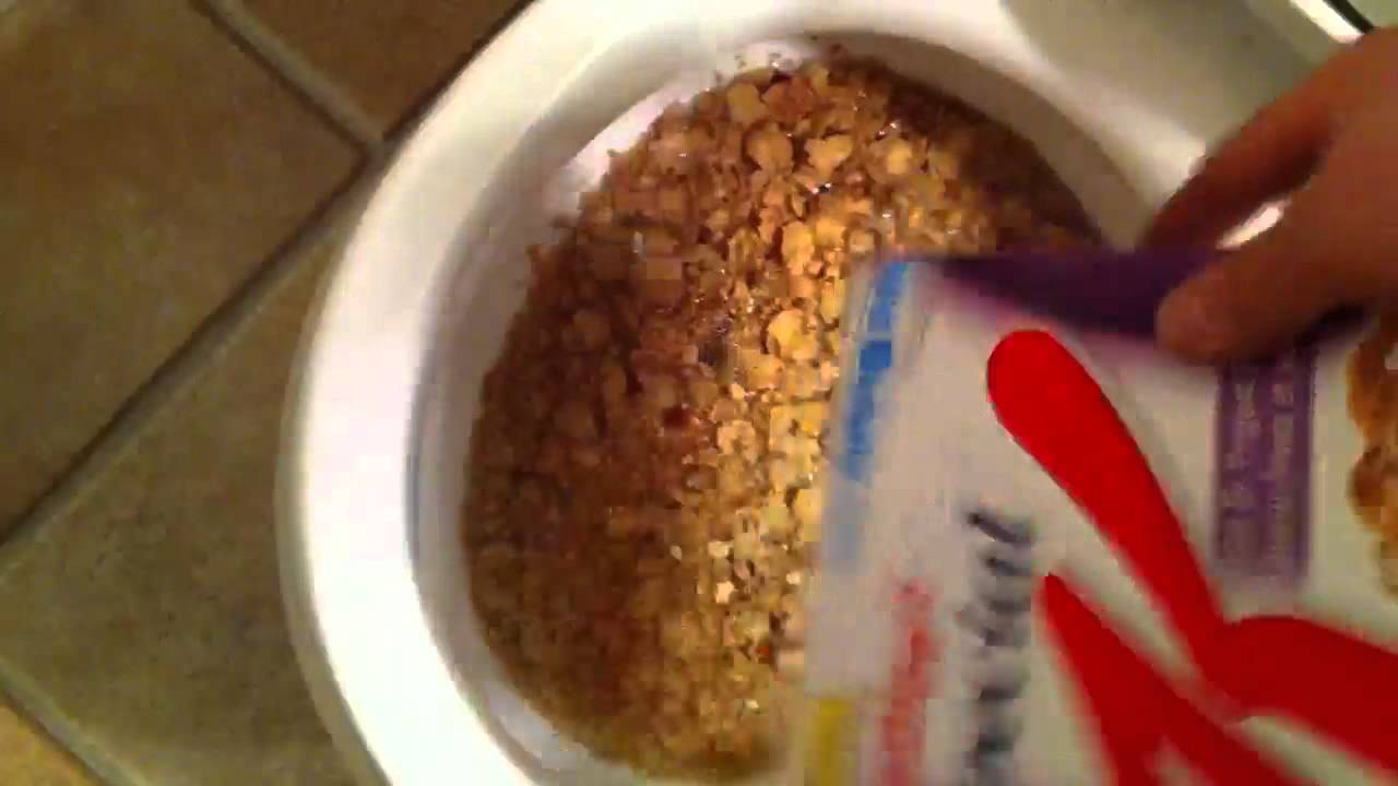 Cereal in the toilet YouTube