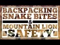 Snake Bites & Cougar Safety - CleverHiker.com