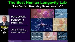 The Best Human Longevity Lab (That You've Probably Never Heard Of)