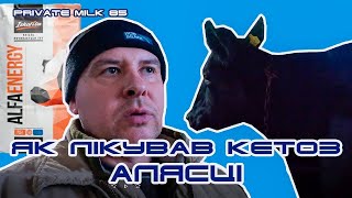 Лікування кетозу. Де взяти енергію? | Private Milk | Травецький