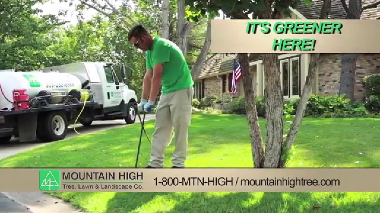 Mtn High Plant Health Care Denver