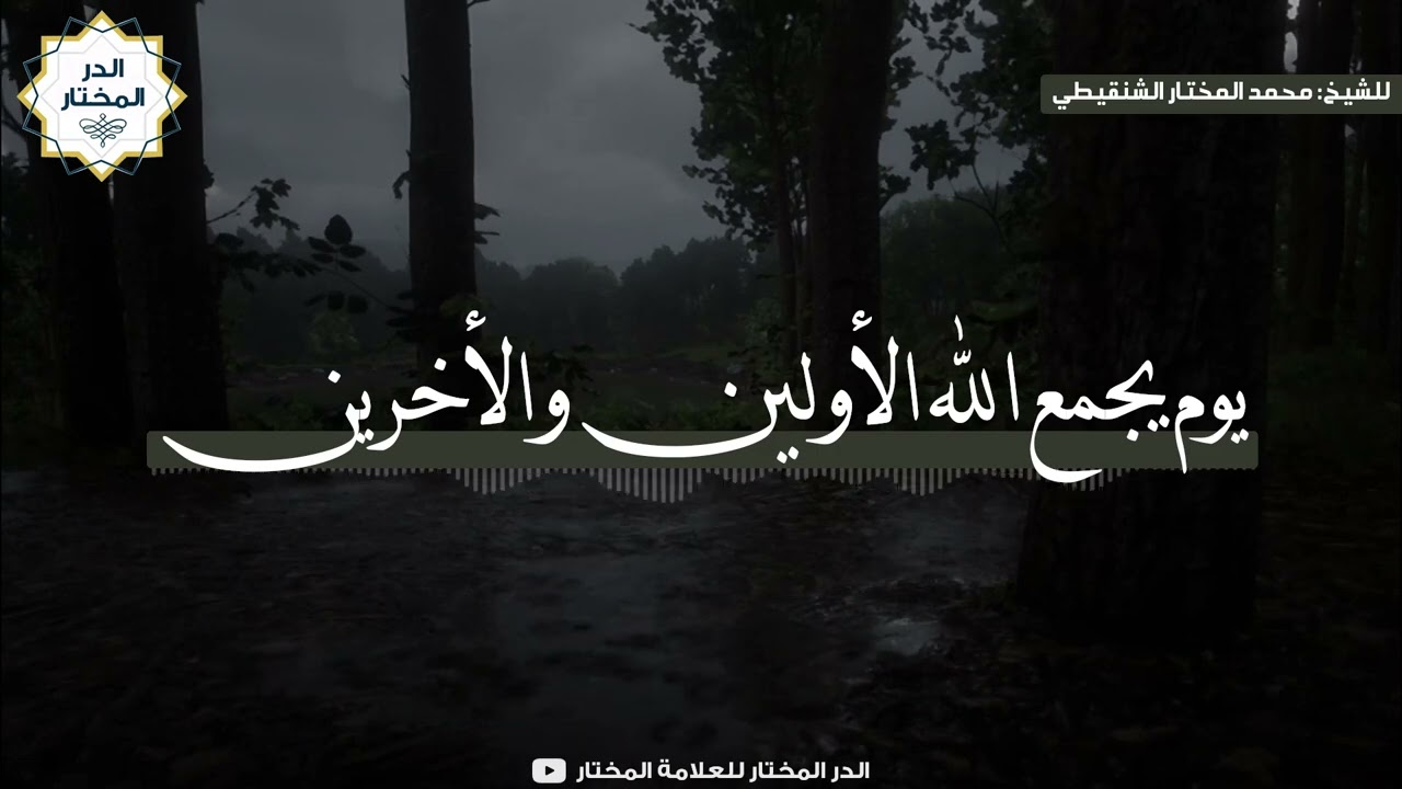 يوم يجمع الله الأولين والأخرين | للشيخ: محمد المختار الشنقيطي