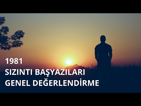 Genel Değerlendirme - Sızıntı Başyazıları - 1981 - Üçüncü Yıl