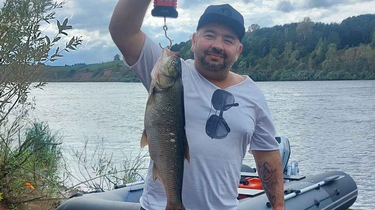 Река Белая, ещё больше рыбы. 