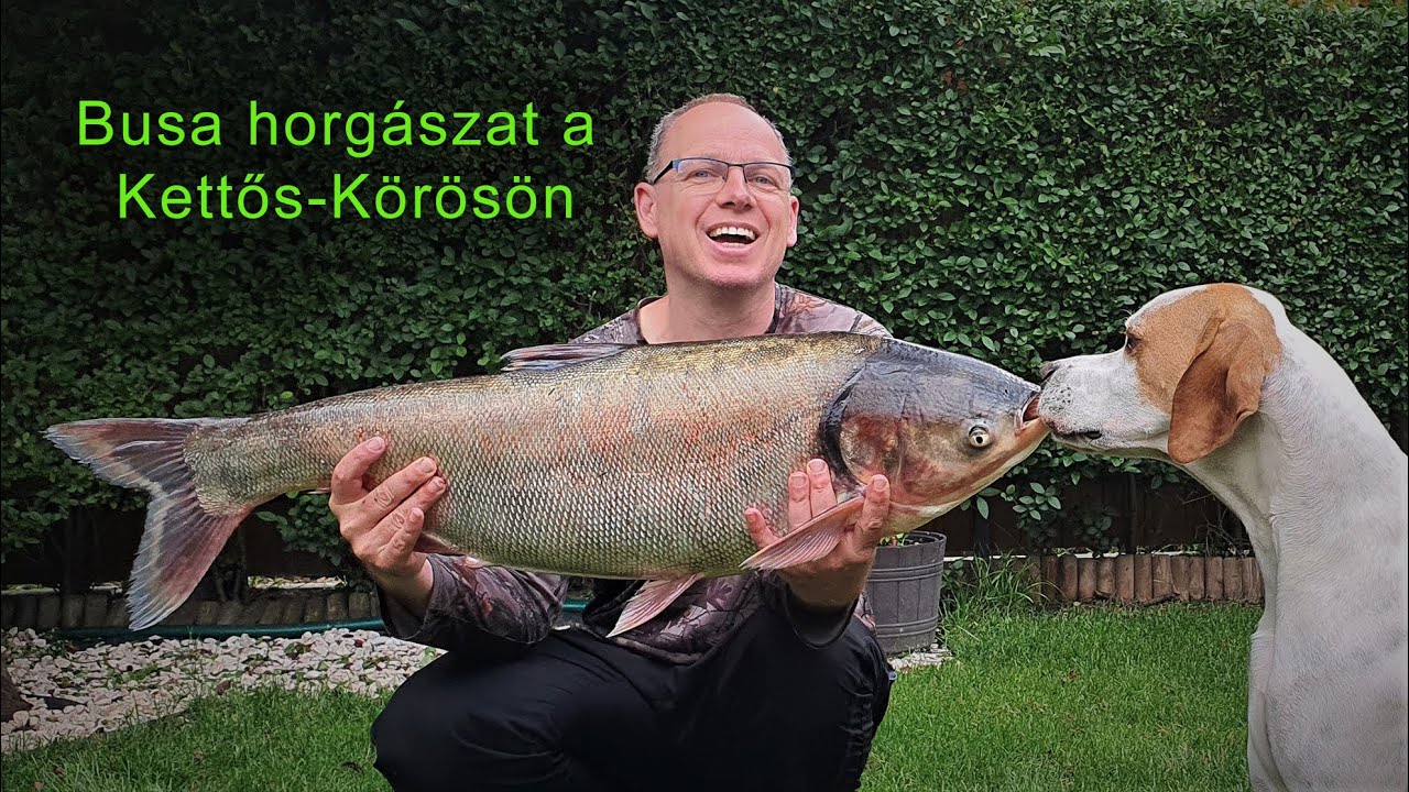 BUSA HORGÁSZAT A KETTŐS-KÖRÖSÖN