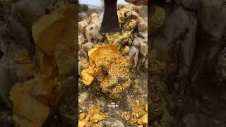 The "Dirt-to-Gold" Protocol: Cleaning a Heavy 3.2kg Raw Nugget! 🌊⚖️#gold #Canada #UK #USA #GoldRush