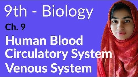 9th Class Biology - Ch 9 Transport - Venous System - Matric Part 1 Biology