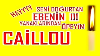 İyi Ki Doğdun Caillou İsme Özel Komik Doğum Günü Şarkısı