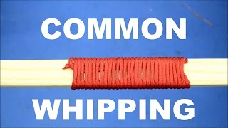 Common Whipping