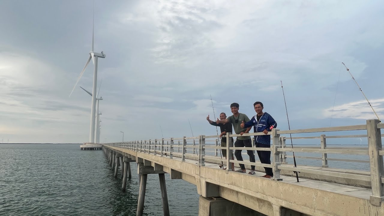 trãi nghiệm câu cá nấu ăn sinh tồn tại điện gió hòa bình 1| câu cá ở biển bạc liêu