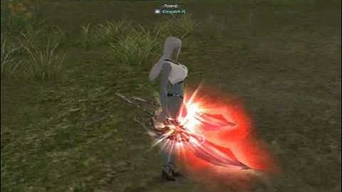 Lineage 2 Custom Armors/Weapons