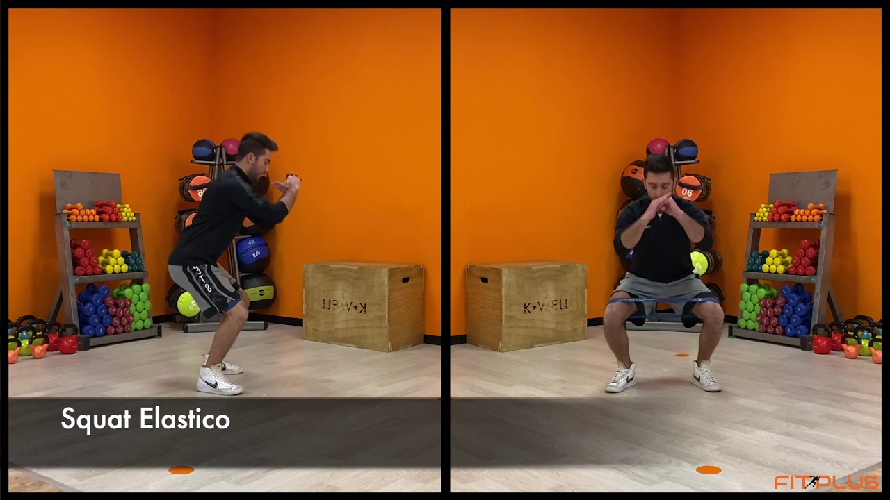 Squat Elastico