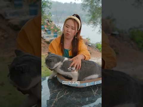 আজকে মিনার বিড়ালটা বৃষ্টিতে পুরো ভিজে গেছে😱🤧~hand crafts/ wood/ woodworking art skill #viral #funny