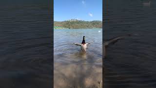 Ördek Dansı Bu Oluyor