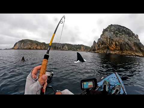Insane Kayak Fishing On A Remote Island Infested With Sharks !!