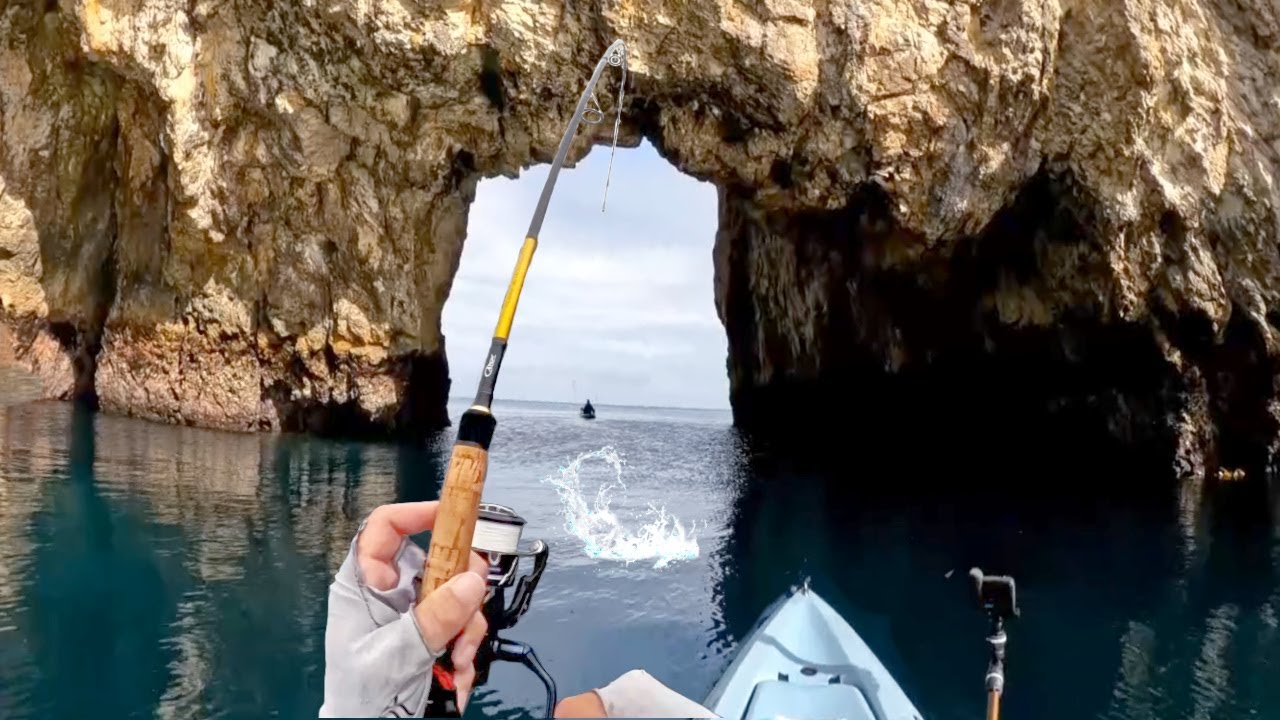 Fishing Heaven Exists… and We Found It! 🌴🐟