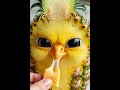 Pineapple Chick Eats Cheese... What Even Is This?! 🍍🐥🧀