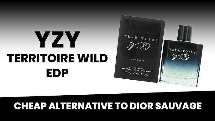 YZY DIS-LUI POUR HOMME EXTREME - CHEAP BUT GOOD! 