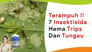 7 Insektisida Paling Ampuh dan Kuat Atasi Hama Trips dan Tungau Sekaligus