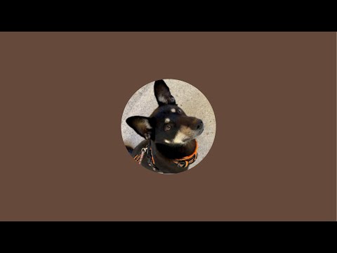 朝6:15ごろ〜早朝見守りライブ：3/5