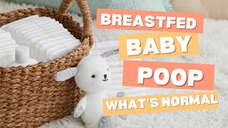 Breastfed Baby Poop Variations Explained When To Worry & When Its Normal