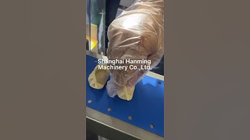 Automatic dumpling gyoza potstick wonton making machine