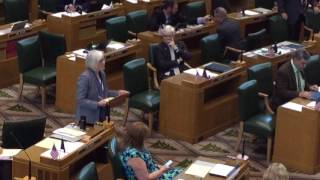 Rep. Marsh wraps up her argument for suction-dredge mining bill