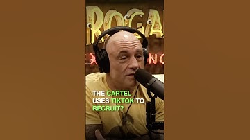 Mexican Cartel uses TikTok to Recruit!?