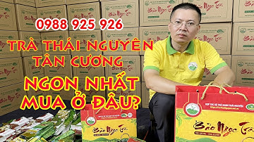 Trà Thái Nguyên Tân Cương - Giá bao nhiêu 1kg loại ngon?