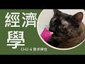 CH2 -6 需求的價格彈性