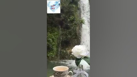 أجمل سورة الشرح