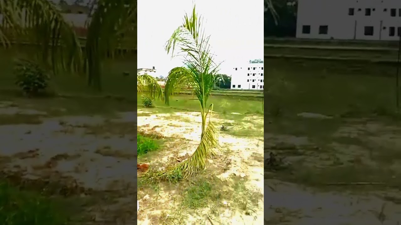 Single Gate Society Amaira Homes //Kashipurroad Sidhwali Dharak Nagla pass Abhi book Karen Apna plot