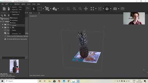 Agisoft Metashape Interface