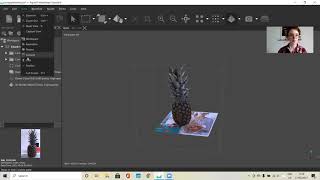 Agisoft Metashape Interface