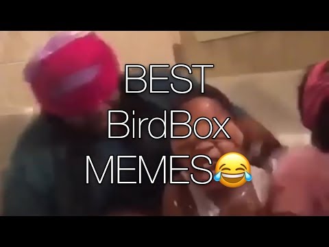 best-‘birdbox’-memes-ever-2018