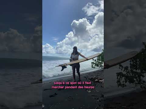 Morning Surf A