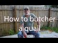 How to butcher a quail