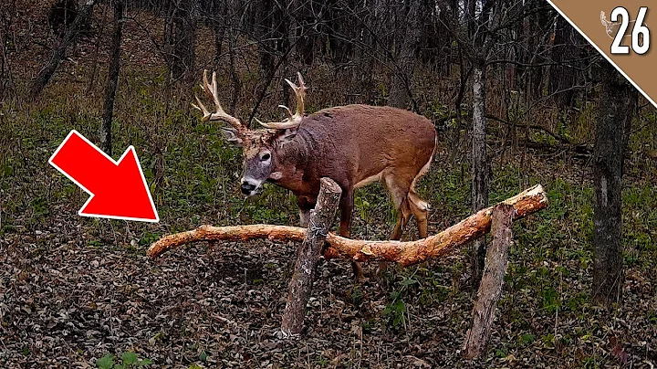 TED MILLER Hunts a HUGE BUCK! (Hunting a Horizonta...