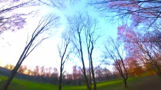 🌳DANCING with Trees - FPV Freestyle🌳 RACE DRONE GoPro Session 5