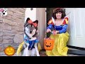 Kakoa's Pretend Play Halloween Trick or Treating!