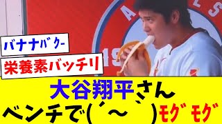 【かわいい】大谷翔平さん、ベンチでバナナを食べる。【なんJ反応】【プロ野球反応集】【2chスレ】【5chスレ】