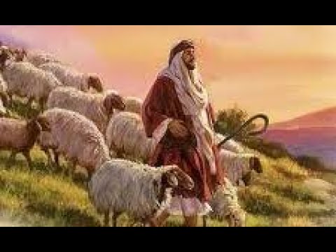 TWENTY-SECOND SUNDAY IN ORDINARY TIME YEAR A