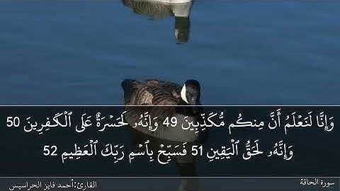 الصفحة 568 سورة الحاقة والمعارج بصوت القارئ المهندس أحمد فايز الحراسيس