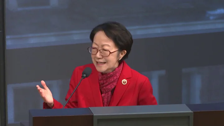 Margaret Chin, NYC Council Member, District 1; Cha...