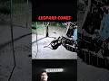 Leopard vs Dog #wildlife #animals #dog #leopard #trending #animals #ytshorts #viralvideo #unfrez