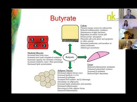 Lockdown Webinar Series EN/DE #5 -- Darmgesundheit (Gut Health)