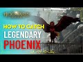 Hogwarts Legacy - How to Catch the Phoenix Bird (Magical Beasts) #hogwartslegacy #hogwarts