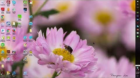 Export QuickBooks Reports to Excel